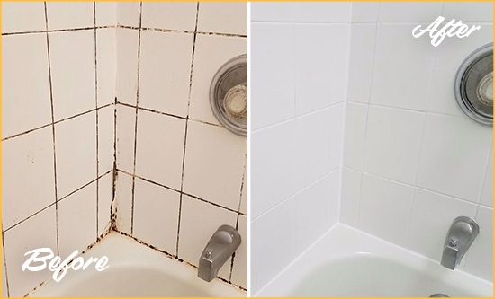 Sir Grout Regrouts this White Tile Bathroom to Eliminate Mold Before and After Picture of a White Tile Bathroom Regrouted to Eliminate Mold
