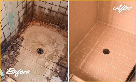 Sir Grout Cleans the Tile and Grout in This Shower to Remove Embedded Grime, Mold and Mildew Effectively Before and After Picture of a Tile Cleaning in a Grimmy Shower